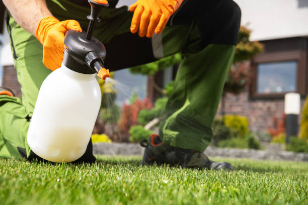 Best Residential Pest Control  in Belle Plaine, MN