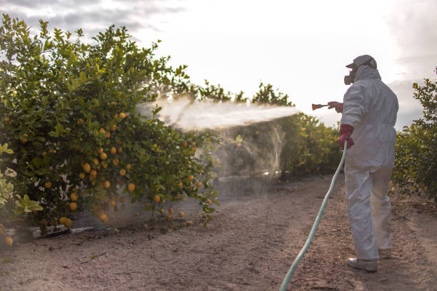 Best Commercial Pest Control Services  in Belle Plaine, MN